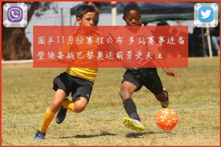 国乒11月份赛程公布 多站赛事连番登场备战巴黎奥运前景受关注